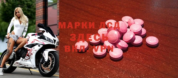 ГАЛЛЮЦИНОГЕННЫЕ ГРИБЫ Аркадак